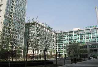 广东找对象脱单数据