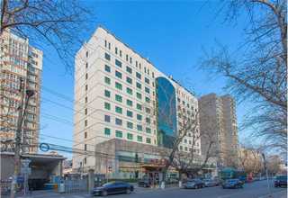 龙华宠物服务项目