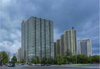 浙江性价比高的古琴去哪里选择