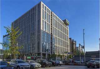 老鼠灭治哪家好